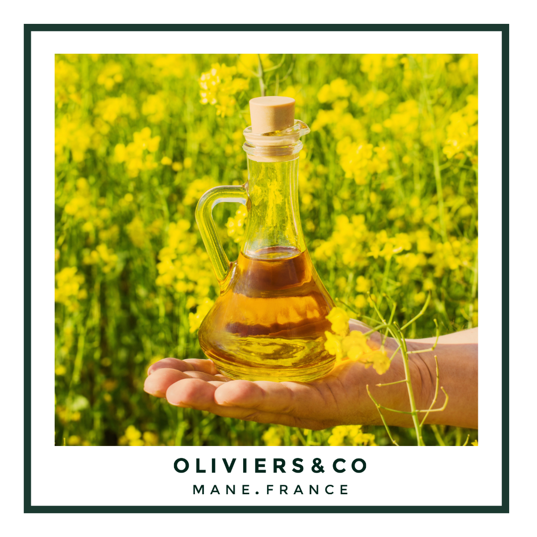 Huile de Colza vs Huile d'Olive
